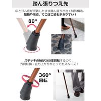 ストリックスデザイン 踏ん張りつえ先ステッキ太め折畳BR抗菌 SB-032 1本