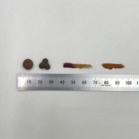 ミネット まぐろチップ＆かつお節添え 国産 400g 1セット（1袋×3） スマック 猫用 おやつ