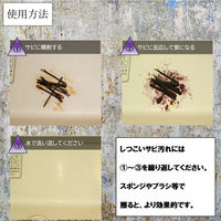 業務用さび落とし スプレー 4595317487065 1セット(1個×6)