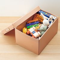 Roomy 折りたたみボックス 深型 収納ケース 収納ボックス 服収納 おもちゃ箱 コンパクト フタ付 A4 ベージュ A794-16 1個