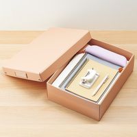 Roomy 折りたたみボックス 浅型 収納ケース 収納ボックス タオル収納 小物収納 コンパクト フタ付 A4 ベージュ A795-16 1個
