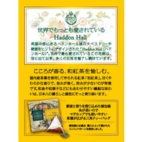 MINTON（ミントン）和紅茶ティーバッグ 柚子 1セット （1箱（10バッグ入）×3）