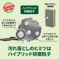 スリーエム（3M）スコッチブライト プレミアムスポンジ 抗菌 キッチン 油汚れ グレー KES-01KGY（1個入）