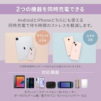 オウルテック PD20Wで超速充電可能 オーロラカラーのAC充電器 OWL-APD20A1C1R-AU 1個