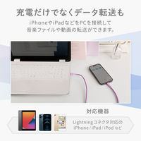 オウルテック グラデーションカラー 急速充電2.4A/データ転送 Lightningケーブル OWL-CBAUAL10-GD 1個