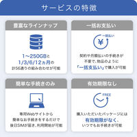インターネットイニシアティブ IIJモバイルサービス/タイプD for IIJmio Biz プリペイドSIM IM-B420 1枚