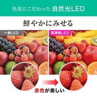 エコリカ 直管形LED 20形 昼白色 5000K 1000lm Ra95 工事不要 ECL-LG20YN-RL 1本