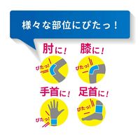 パテックス うすぴたシップ 40枚 第一三共ヘルスケア 腰痛 肩こり 筋肉疲労 筋肉痛 関節痛 ねんざ【第3類医薬品】