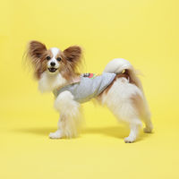 【アウトレット】Dulce Dog（ドゥルチェドッグ）ジャンキーフードトレーナー S グレー 1個 犬用 アルクロース