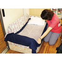 アーテック 【介護/医療】清拭 使い捨てベッドシーツコンパクト60×100cm 30枚入 051193 1ケース(1点×10))（直送品）