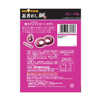 グミ お配り菓子 忍者めし鋼 グレープ 1セット（1個×10）