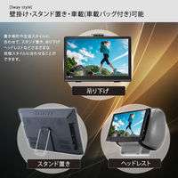 ダイアモンドヘッド 10.1インチポータブルテレビ&マルチプレーヤー APT-101FP 1台（直送品）