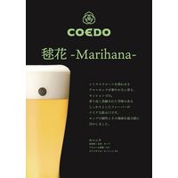 クラフトビール ビール コエドブルワリー 毬花-Marihana- 缶 350ml 1ケース（24本）