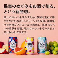 チューハイ カジューハイ100％ 3種飲み比べセット 1セット(3種×各2本)