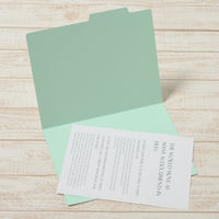 プラス 個別フォルダー A4E ブルー FL-081IF 1セット(1パック(10枚入)×3)