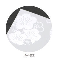 ササガワ ポチ袋 結びポチ 五型 円香(まどか) 5-3877 1冊(3枚)