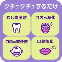 アース製薬 モンダミン Kid's(キッズ) ぶどう味 860mL ノンアルコール 洗口液 968136 1セット(2個) 限定