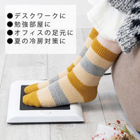 トップランド コンパクトフットヒーター 省エネ 3段階温度調節 SP-FH10WT 1個