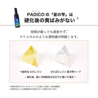 パジコ レジン液 UV-LED レジン 星の雫 ソフトタイプ 25g 透明 日本製 403245 PDC403245 1セット(2個)