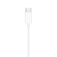 Apple純正 インナーイヤー型イヤホン USB Type-C接続 EarPods with USB-C Connector 1個