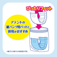 アテント 夜1枚安心パンツ 脚まわりロング丈 男女共用 Lサイズ 1パック（16枚入）エリエール 大王製紙