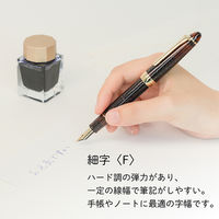 セーラー万年筆 四季織 草あそび 万年筆 橡(つるばみ) F(細字) 10-0657-203 1本
