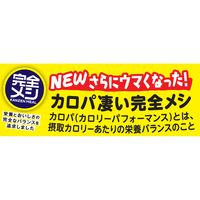 日清食品 完全メシ カレーメシ 欧風カレー中辛 1セット(1個×3) カップライス カップご飯