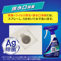 ルックプラス バスタブクレンジング 銀イオンプラス 香りが残らないタイプ 詰替大型 800ml 1セット(1個×3) ライオン