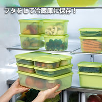 ロック＆ロック キープフレッシュ 鮮度保持 保存容器 長方形 1.5L グリーン 食洗機・電子レンジ対応 1個 ベストコ