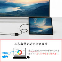 サンワサプライ USB Type C-HDMI変換アダプタ(4K/PD対応/USBハブ付) AD-ALCPHDPD02 1個（直送品）