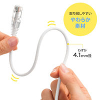 サンワサプライ  カテゴリ6LANケーブル（スリム、やわらか、ツメ折れ防止コネクタ） KB-SL6YS-05W（直送品）