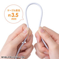 サンワサプライ アンテナ分波器 出力ケーブル 0.2m KM-AT27W-02W 1本