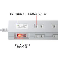 サンワサプライ 雷タップ 10個口+USB-A+Type-C(PD20W) TAP-SP2110NUC-2W 1個
