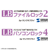 サンワサプライ USB2.0 メモリ UFD-RNS4GWN 1個