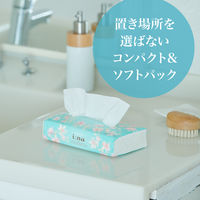 【アウトレット】【アウトレット】ティッシュペーパー 150組（5個）エリエール イーナソフトパック 海外 1ケース（1パック（5個入）×20） 大王製紙