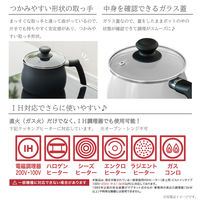 武田コーポレーション IH対応 バラエティポットWH IH-VP15WH 1箱(8個入)（直送品）