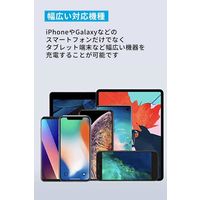 Anker 312 Charger （20W）