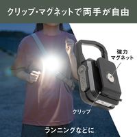 充電式ぴかり MINI LIGHT マットブラック 1個 ムサシ 犬用 お散歩