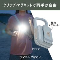 充電式ぴかり MINI LIGHT ダスティブルー 1個 ムサシ 犬用 お散歩