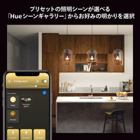 Signify ホワイト E26 電球 75W形相当 PH75WH1 1個（直送品）