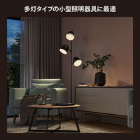 Signify ホワイト E17 電球 40W形相当 PH17WH1 1個（直送品）