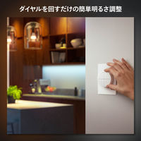 シグニファイジャパン ダイヤルスイッチ PHDIAL 1個（直送品）