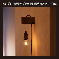 Signify フィラメント ホワイトグラデーション E26 電球 一般電球形 40W形相当 PHFL60 1個（直送品）