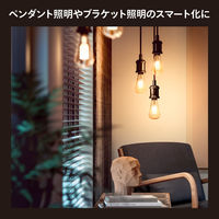 Signify フィラメント ホワイトグラデーション E26 電球 エジソン形 40W形相当 PHFL64 1個（直送品）