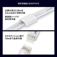 Signify ライトリボンプラス エクステンション(1m) PHLSP1 1個（直送品）