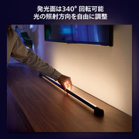 シグニファイジャパン Play グラデーション ライトチューブ コンパクト ブラック PHLTCMB 1台（直送品）