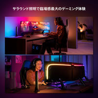 Signify Play グラデーションライトリボン PC 24-27インチ専用 トリプル PHPC24T 1セット(4箱)（直送品）