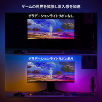Signify グラデーションライトリボン PC 32-34インチ専用 スターターセット PHPC32S 1セット（直送品）