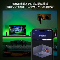 シグニファイジャパン Play HDMI シンクボックス PHSYNC 1個（直送品）
