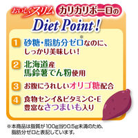 ペティオ おいしくスリム 砂糖・脂肪分ダブルゼロ カリカリボーロ おいも入り 国産 80g 1袋 犬用 おやつ